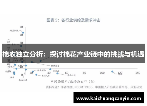棉农独立分析：探讨棉花产业链中的挑战与机遇